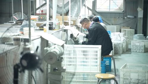牢记嘱托奔共富 衢江区提供精准法律服务 助力企业复工复产
